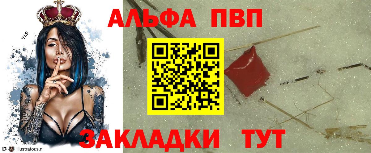 A PVP СК КРИС Алатырь