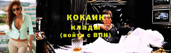 прущие грибы Абинск