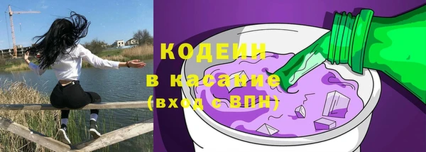 прущие грибы Абинск