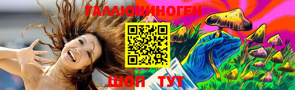 Псилоцибиновые грибы мицелий  наркошоп  Алатырь  Вход с VPN 
